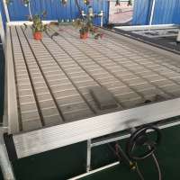 Wholesale price rolling bench system for commercial greenhouse