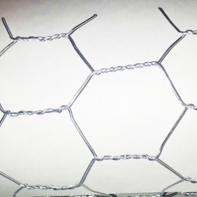 Hot Sale Galvanized/PVC Coated  3/4" 5/8" 1"x1" Hexagonal Chicken Wire Mesh