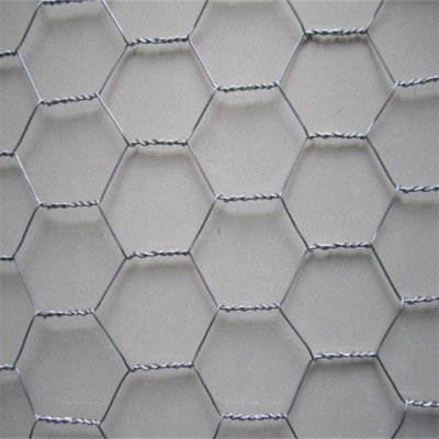 Customized various sizes hot-dipped galvanized hexagonal wire mesh used for chicken cage