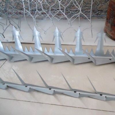 Pemium grade hot-dipped/electric galvanized wall spike/barbed nail