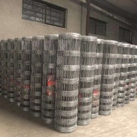 Huge stock galvanized/stainless steel wire field fence/ cattle fence