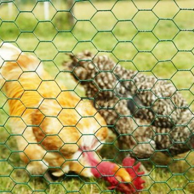 1/2" 3/4" Green PVC Coated Hexagonal Animal Cage Fence Netting/Chicken Cook Hexagonal Wire Mesh Fence