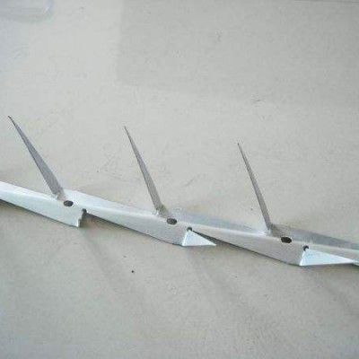 Small Size High Security 1.25m Stainless Steel/ Galvanized Wall Spikes