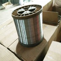 Hot dipped galvanized bright color scrubber wire 0.13mm 0.2mm for sale